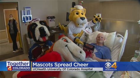 Denver Sports Mascot Passes Out: Exploring the Support from the Community